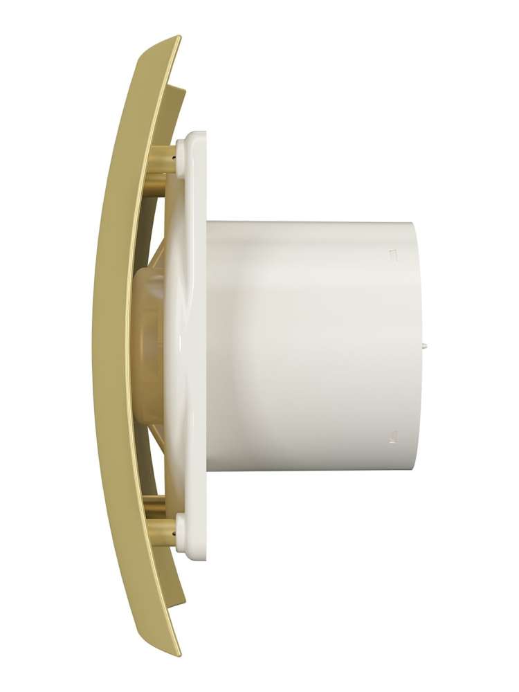 Вентилятор накладной BREEZE D125 обратный клапан Champagne DICITI